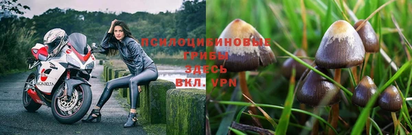 соль курить ск Бугульма