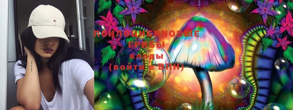 дмт Бронницы
