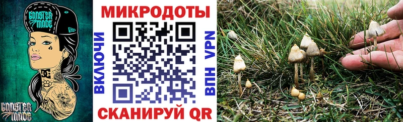 Галлюциногенные грибы Magic Shrooms  Купить закладки  Артёмовск 